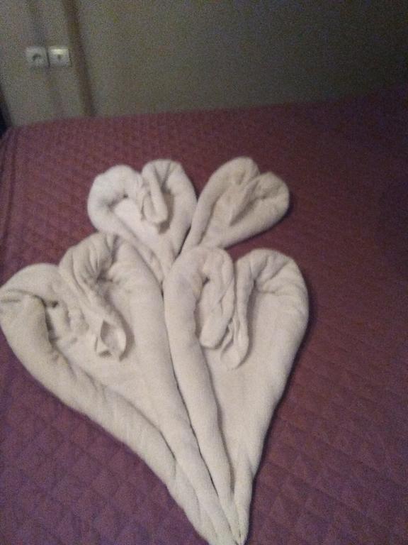 Hotel Erofili Kato Sinikia Trikalon Zewnętrze zdjęcie